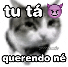 Tu Tá Querendo Né GIF