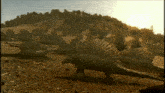 Edaphosaurus GIF - Edaphosaurus GIFs