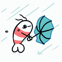 shrimp umbrella typhoon swept by the wind raining