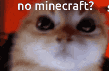 Minecraft Cats GIF - Minecraft Cats Kitten GIFs
