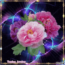 Pink Purple GIF - Pink Purple Roses GIFs