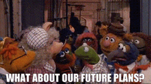 Muppets Kermit The Frog GIF - Muppets Kermit The Frog Future Plans GIFs