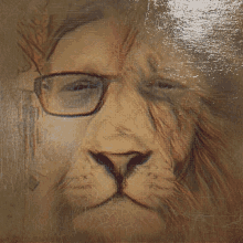 Lion Change GIF - Lion Change Look GIFs