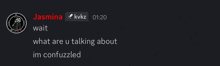 a screenshot of a conversation between jasmina and kvkz says wait what are u talking about im confused