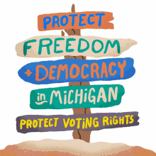 protect freedom and democracy in michigan protect democracy in michigan protect freedom in michigan protect voting rights in michigan protect democracy