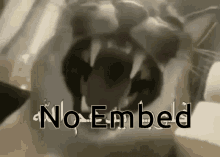 Floppa No Embed No Embed Floppa GIF - Floppa No Embed No Embed Floppa Zenex GIFs
