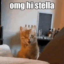Hi Stella GIF - Hi Stella Hello Stella GIFs