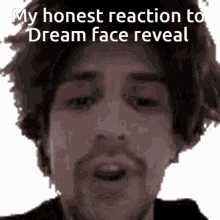 dream dream face reveal dreamwastaken