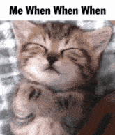 a kitten is sleeping with its eyes closed and the words me when when when below it
