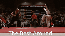 Karate Kid Crane Kick GIF - Karate Kid Crane Kick Best Around GIFs
