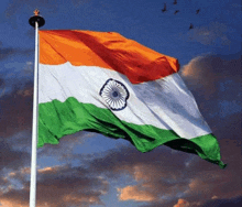 Flag India GIF - Flag India 143 GIFs