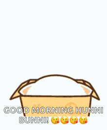 a cartoon cat is sitting in a box and saying good morning hunni bunni