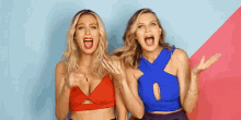 Laugh GIF - Barely Famous Laugh Laughing GIFs