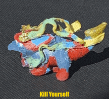 a picture of a stuffed animal that says kill yourself on it