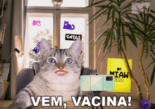 Vem Vacina Mtv Brasil GIF - Vem Vacina Mtv Brasil Pedindo A Vacina GIFs