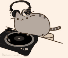 Drop The Beat, Cat - Drop GIF - Drop Kitty Cat GIFs