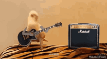 Scott Dude GIF - Scott Dude Guitar GIFs