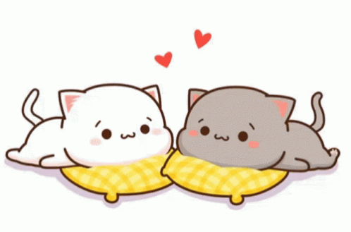 Cute Cat GIF - Cute Cat Couple - Discover & Share GIFs