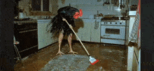 a chicken is standing in a kitchen with a broom
