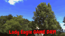 Game Day GIF - Game Day Eagle GIFs