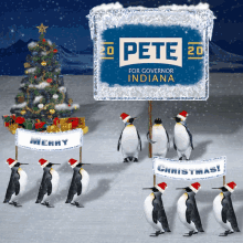 Pete For Governor Pete Buttigieg For Governor GIF - Pete For Governor Pete Buttigieg For Governor Pete For Governor Of Indiana GIFs