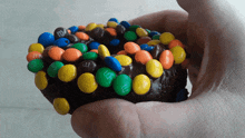 Chocolate M And Ms Donut Donuts GIF - Chocolate M And Ms Donut Donuts Doughnuts GIFs