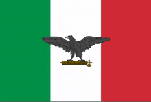 a green white and red flag with an eagle on a stick in the middle