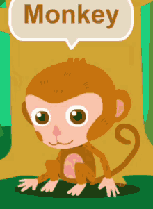 Monkey Eating GIF - Monkey Eating The GIFs