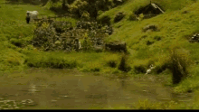 Shire GIF - The Hobbit Fields Grass GIFs