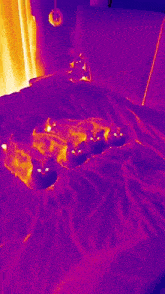a thermal image of a person laying on a bed with a purple background