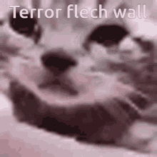 Terarria Flesh Wall GIF - Terarria Flesh Wall GIFs