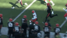 Bengals Browns GIF - Bengals Browns Nfl GIFs
