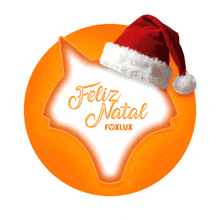 a fox with a santa hat and the words feliz natal