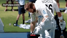 kane williamson grabs icc test ranking first position trending gif cricket sports