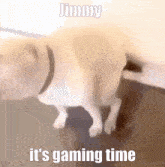 Jimmy Gaming Time GIF - Jimmy Gaming Time Hop On GIFs