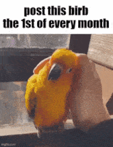 Monthly Essica GIF
