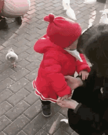 Child Pigeon GIF - Child Pigeon Food GIFs