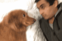 Kiss Dog GIF - Kiss Dog GIFs