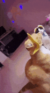 a cat wearing a yellow hat is standing next to another cat in a room .
