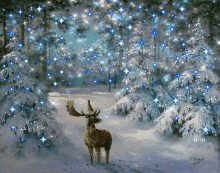 Snow Deer GIF - Snow Deer GIFs