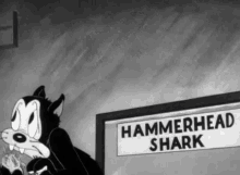 looney tunes cat hammerhead shark attack