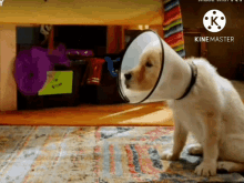 Corazon Coracone GIF - Corazon Coracone Pup Academy GIFs