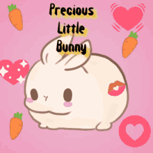 precious bunny little