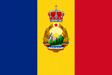 a flag for romania with a crown on top