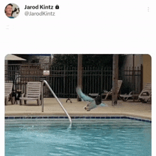 a picture of a bird flying over a swimming pool has the name jarod kintz on the bottom right