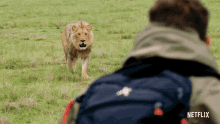 Roar Animals On The Loose GIF - Roar Animals On The Loose Approaching GIFs