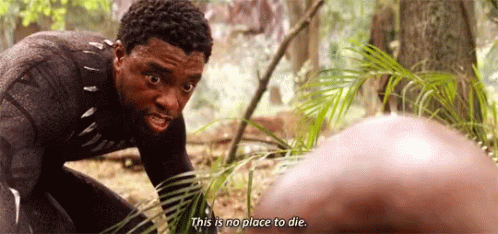 Infinity War This Is No Place To Die GIF - Infinity War This Is No Place To Die Black Panther GIFs