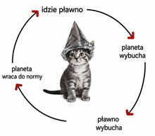 a kitten wearing an aluminum foil hat is in a circle with arrows pointing to different planets
