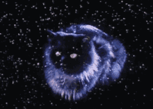 Cats Meow GIF - Cats Meow Grin GIFs