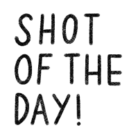 the words shot of the day are written in black